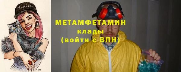 прущие грибы Верхнеуральск