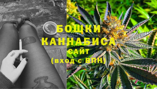 сатива Бугульма