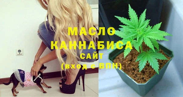 спиды Бородино