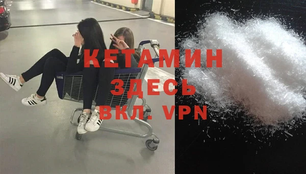крисы Верея